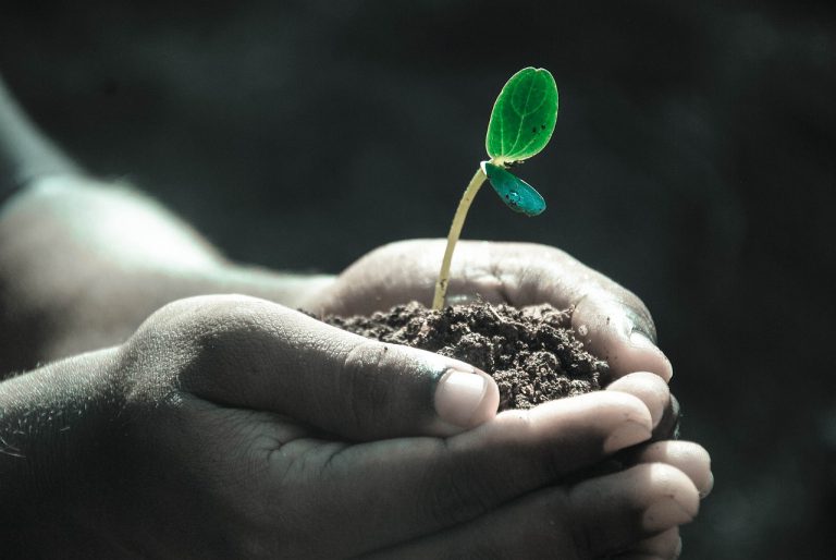 The Meaning of Life: Exploring the Purpose and Fulfillment