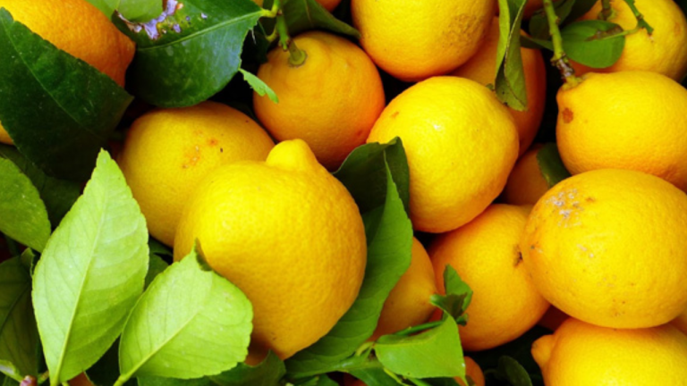Top 10 Health Benefits of Lemon Peel, The Complete Guide to How to Use It Top 10 Health Benefits of Lemon Peel, The Complete Guide to How to Use It