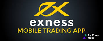 Understanding Exness Forex ECN A Complete Guide for Traders